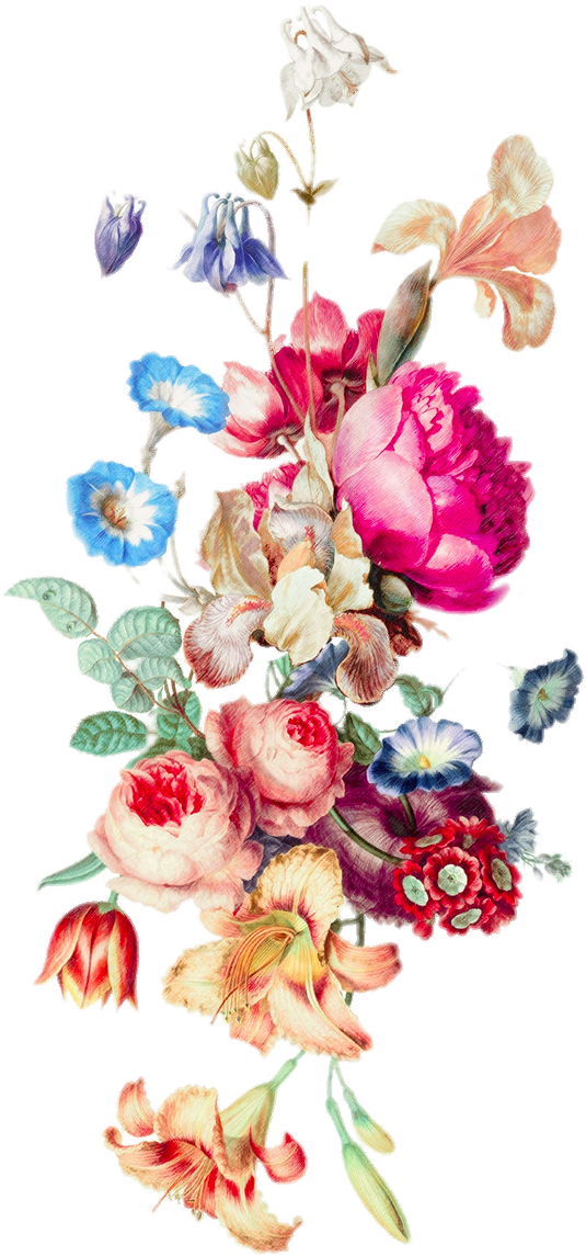 Iphone 6 Plus Floral Design Cut Flowers Flower Bouquet - Big Address Book For Seniors Large Print (849x1200)