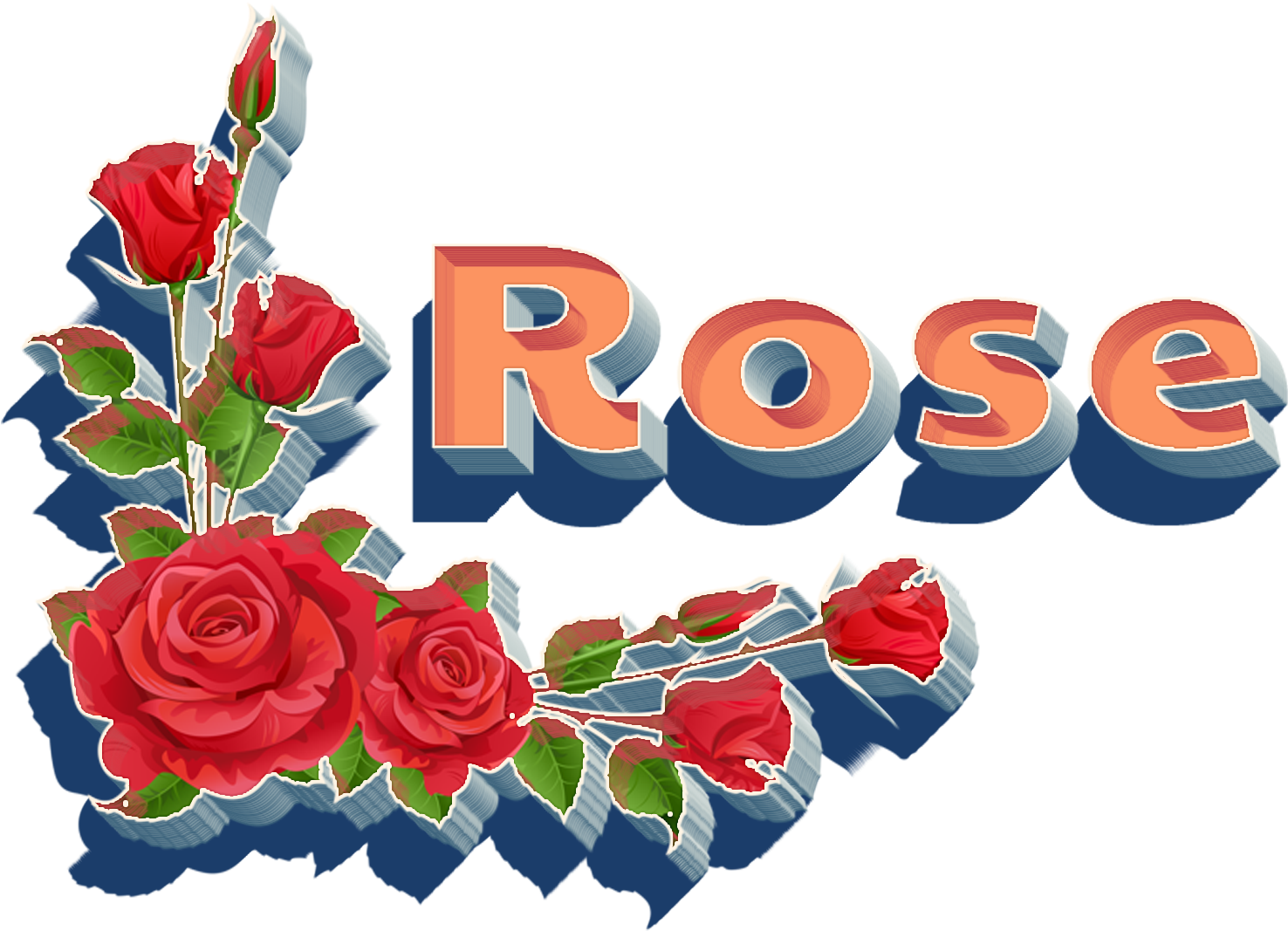 Rose Png Hd - Rose (1539x1149)