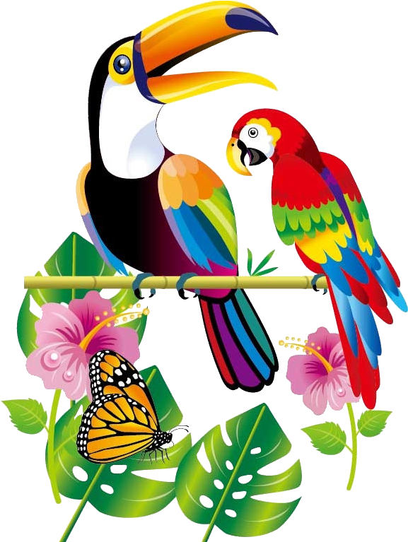 Parrot Bird Toucan - Parrot (909x1071)