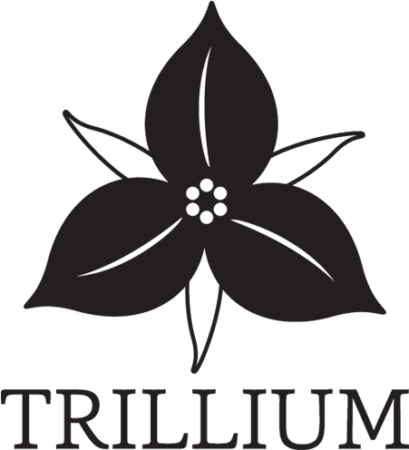 Trillium Flower Clipart - Illustrations Of A Trillium (450x510)