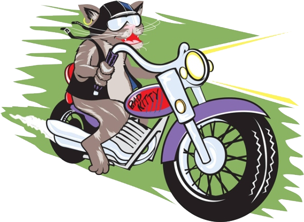Cat Motorcycle Illustration - Cat Motorcycle Illustration (600x441)