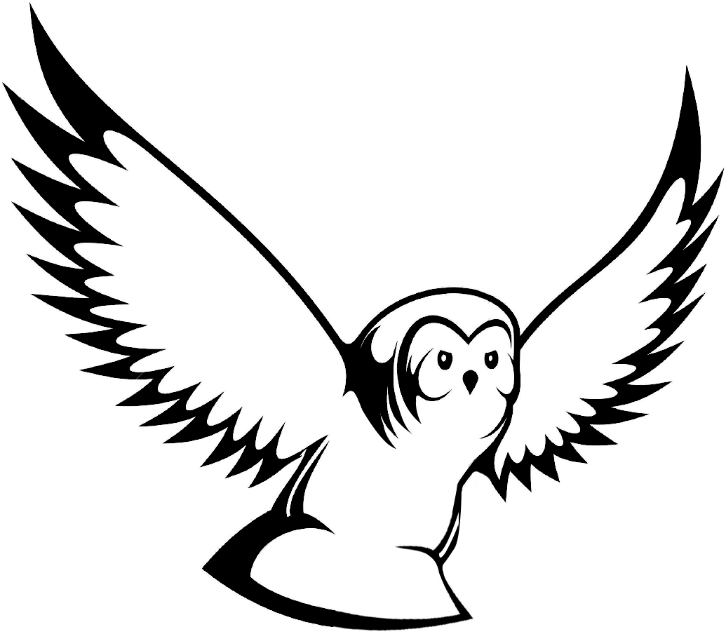 Fliegende Eule Gezeichnet (1300x1018)