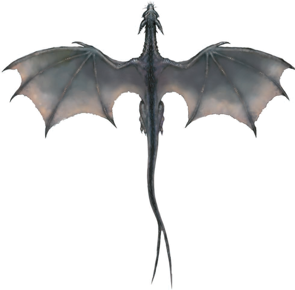 Flying Dragon Transparent Png - Dragon Got Png (997x1077)