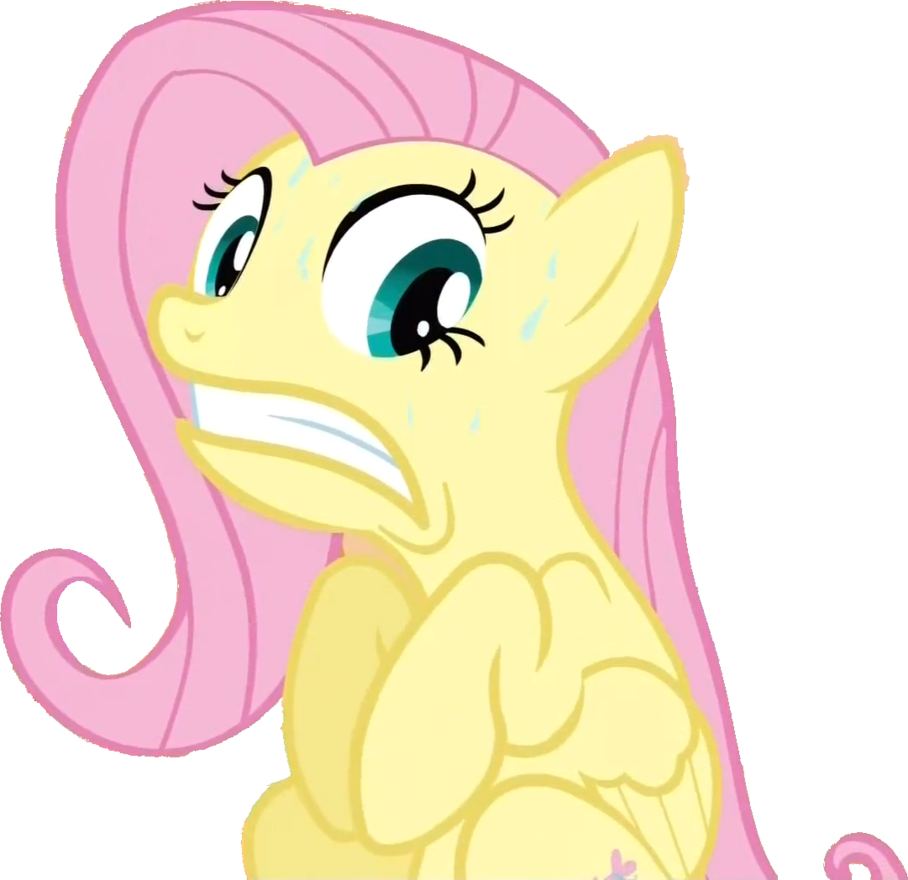 Fluttershy - My Little Pony Fluttershy Front (908x880)