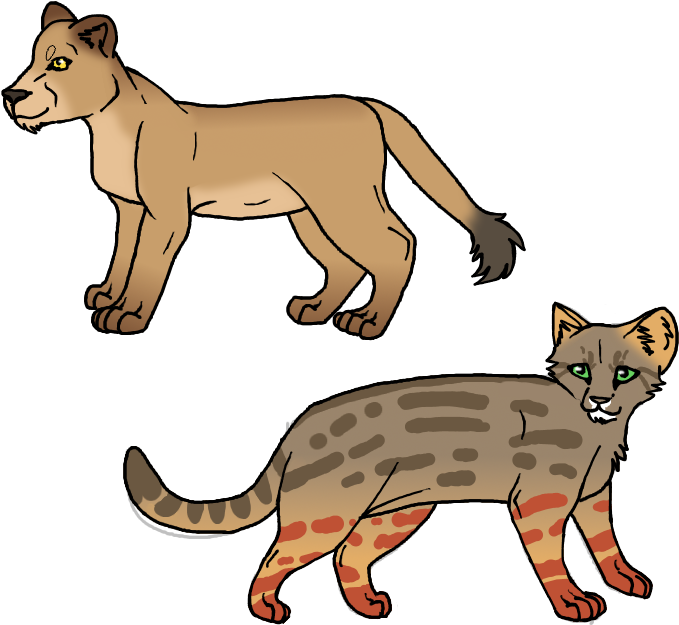 Bearded Collie Cougar Rankins Dragon Cat Clip Art - Bearded Collie Cougar Rankins Dragon Cat Clip Art (800x650)