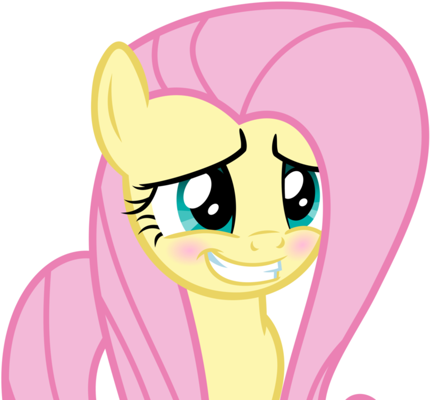 Fluttershy Shy Mlp - Mlp Fluttershy Base Shy (926x862)