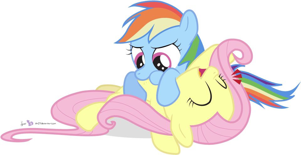 Rainbow Dash And Fluttershy Ship (1000x530)