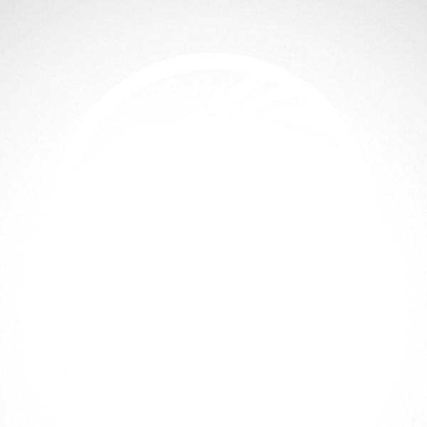 Simple Color Vinyl Male Lion Head Stickers Factory - Decoration Vinyl Stickers Captain Lion Decoration Vinyl (600x600)