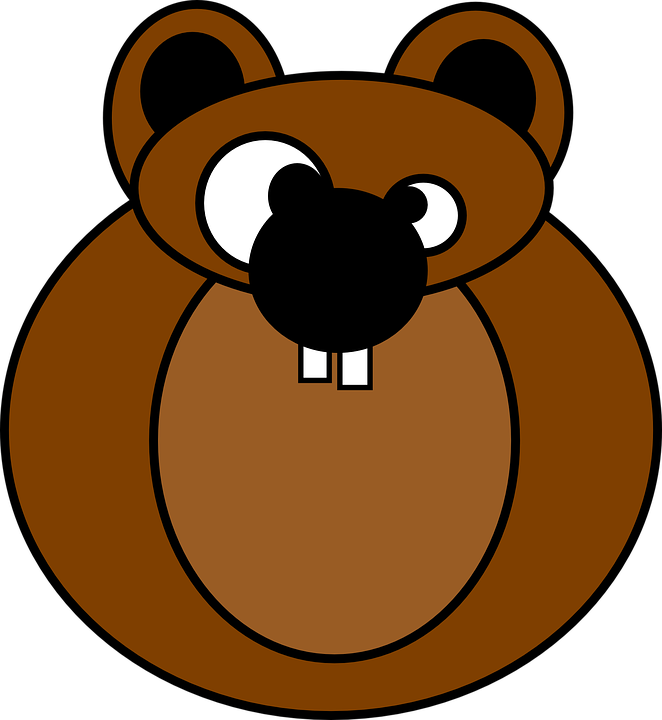 Crazy Lion Cliparts - Squirrel (662x720)