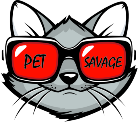 We Are A Company Dedicated To Bringing You The Best - Cat With Sunglasses Cartoon (480x427)