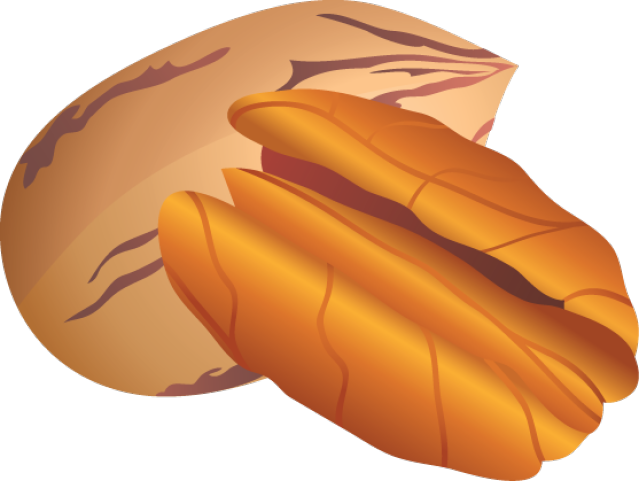 Pecan Clipart (639x481)