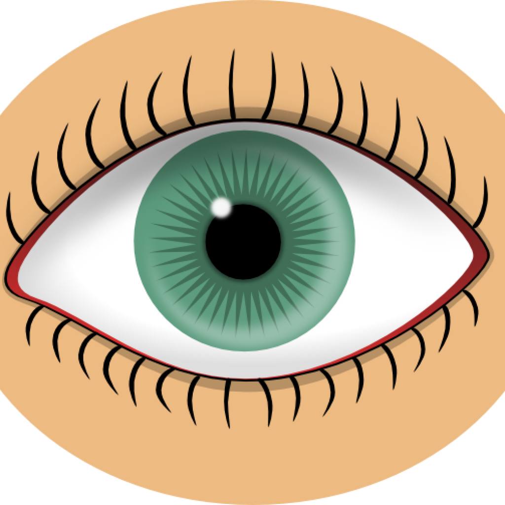 Eye Images Clip Art Blue Eye Clip Art At Clker Vector - Eye Clip Art (1024x1024)