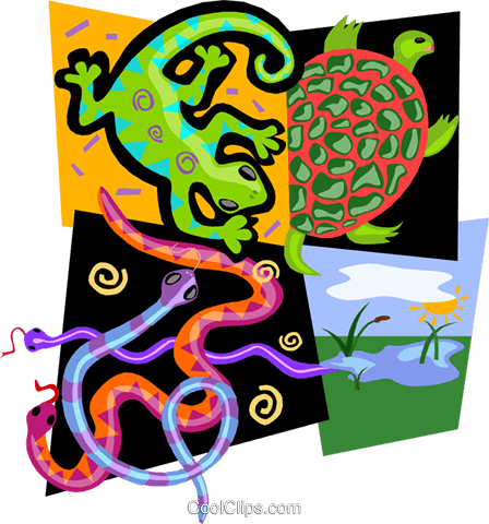 Reptile Motif, Snakes, Lizard, Turtle Royalty Free - Wetland (448x480)