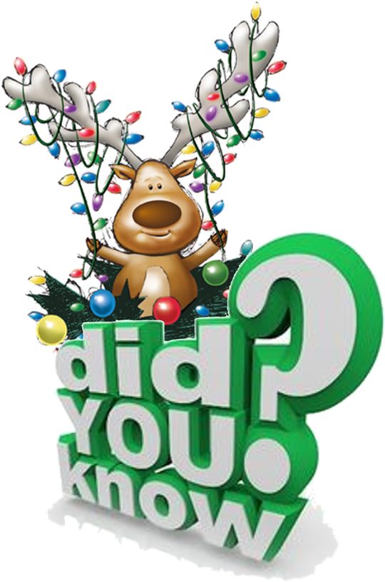 Did You Know - Did You Know (600x830)