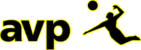 Wilson Avp Official Game Ball (584x210)