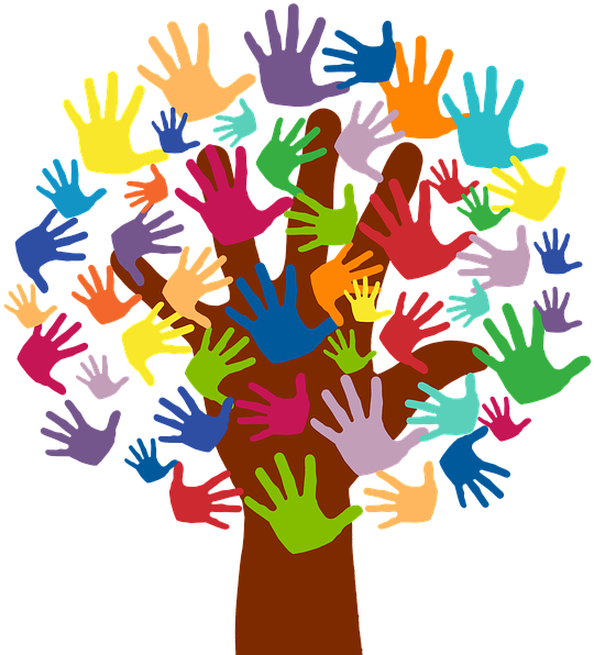 Cgrow Volunteers Have A Say - Volunteer Week 2018 (960x640)