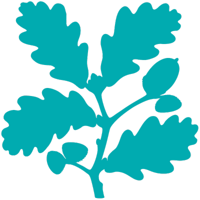 Nt Volunteering - National Trust Oak Leaf (400x400)
