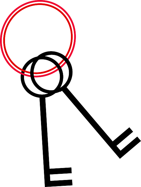 Black, Lock, Keyring, Keys, Ring, Unlock, Key - Keychain Clip Art (481x640)