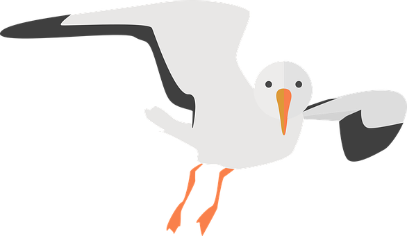 Seagull Animal Water Bird Nature Sea Bird - Transparent Background Seagull Clipart (586x340)