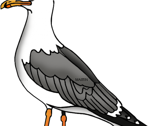 Seagull Cliparts - Gulls (640x480)