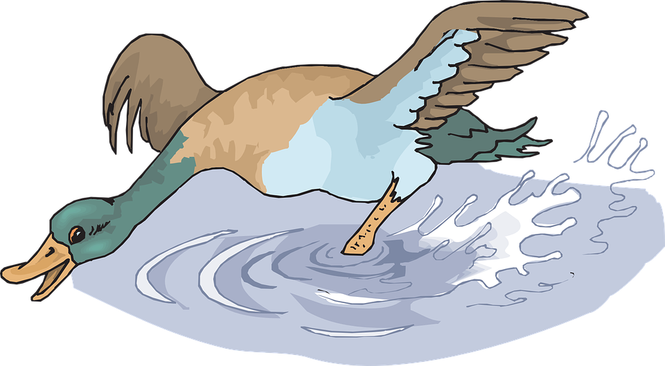 Flying Bird Cartoon 29, Buy Clip Art - Duck In The Water Png (960x529)