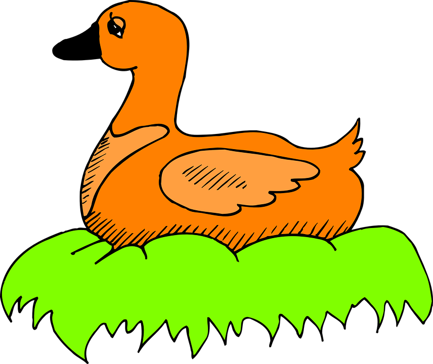 Nest Green, Orange, Bird, Duck, Color, Art, Sitting, - Duck On A Nest Cartoon (856x720)