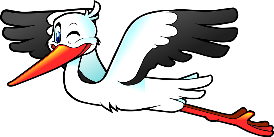 Flying Bird Cartoon - Flying Stork Clipart (1493x750)