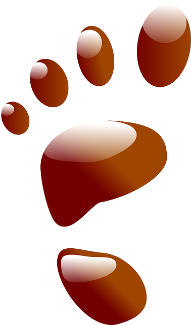 Footprint Red, Icon, Print, Theme, Apps, Footprint - Footprint (378x640)