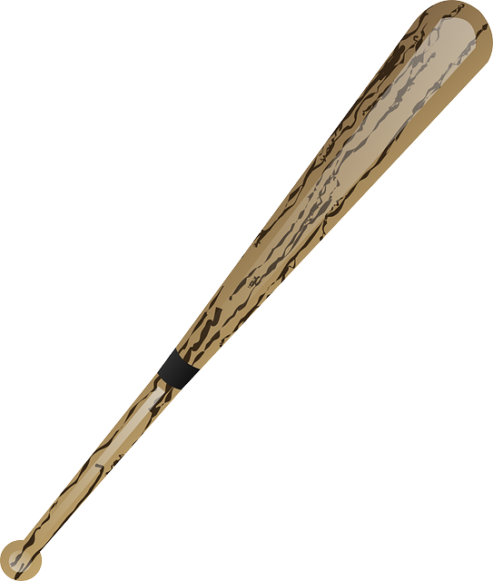 Bat - Rsa 3 Missile (543x640)