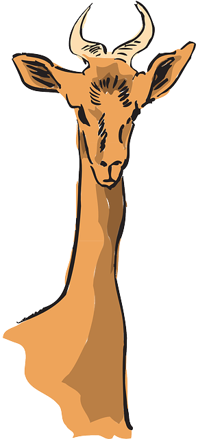 Necked Head, Art, Forest, Long, Horns, Animal, Necked - Djur Med Horn Och Lång Hals (320x640)