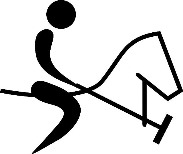 Pictogram Black, Outline, Sport, Person, White, Sports, - Polo Pictogram (640x538)