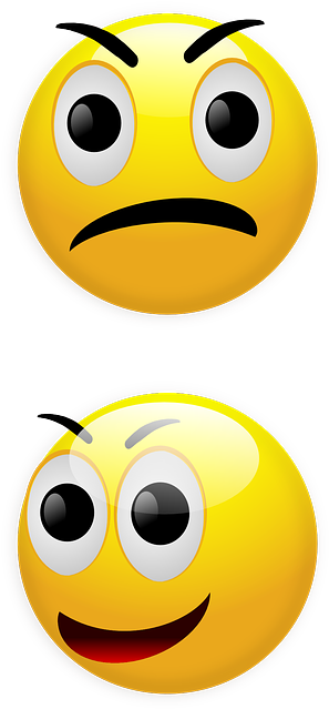 Round Smiley, Angry, Happy, Unhappy, Yellow, Glossy, - Mad Smiley (320x640)