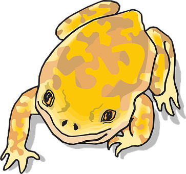 Frog Amphibian Tropical Rainforest Jungle - Png Yellow Frogs (363x340)