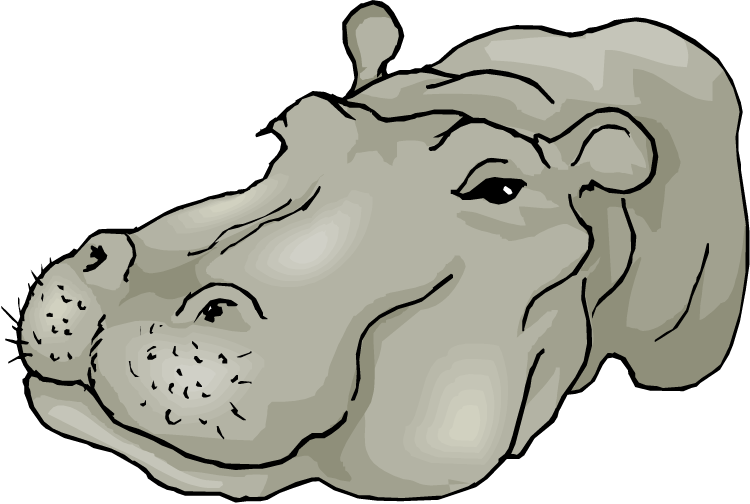 Hippopotamus Clipart - Clipart Hippo (750x504)