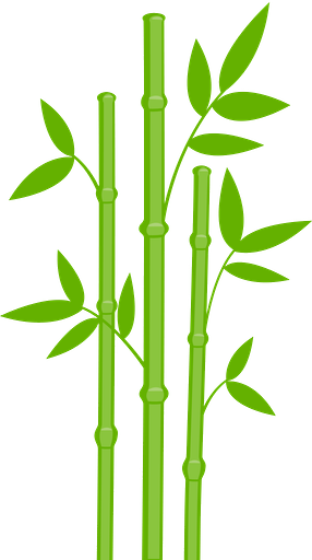 Jungle - Bamboo Clip Art (286x512)