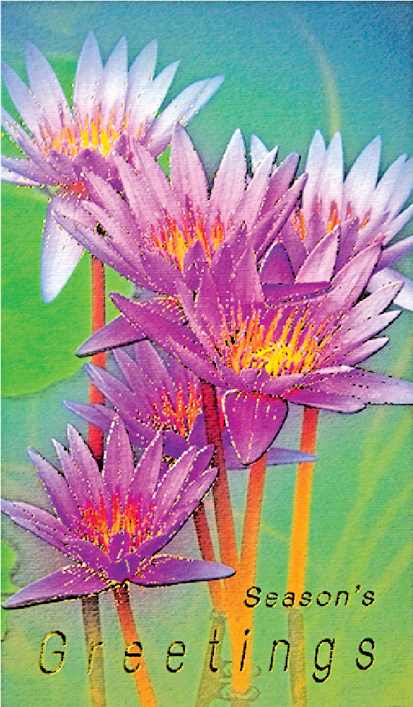 Newyear Card 8×4 Inch P - New Year Card (1280x1000)