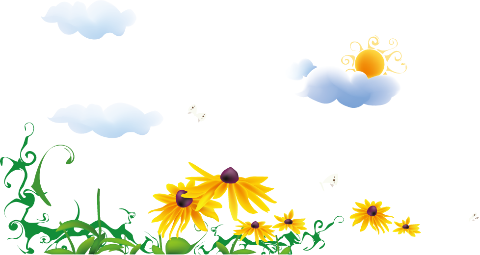 Common Sunflower Euclidean Vector - Common Sunflower Euclidean Vector (978x520)