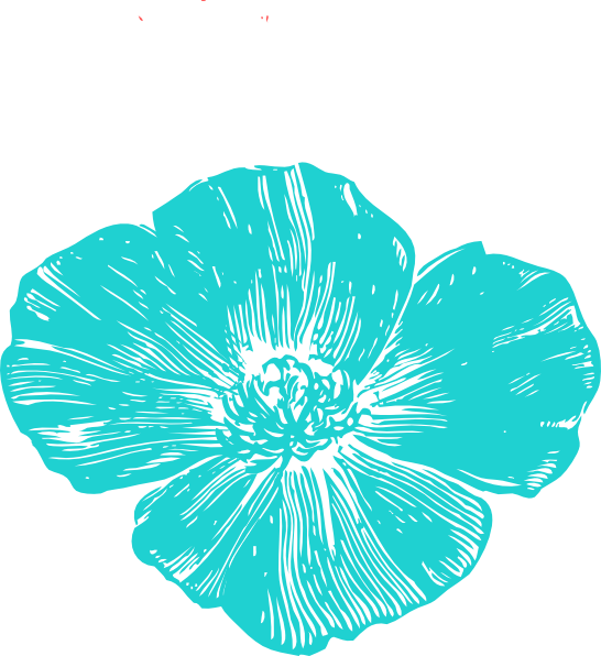 How To Set Use Blue Poppies Svg Vector - Clip Art (546x596)