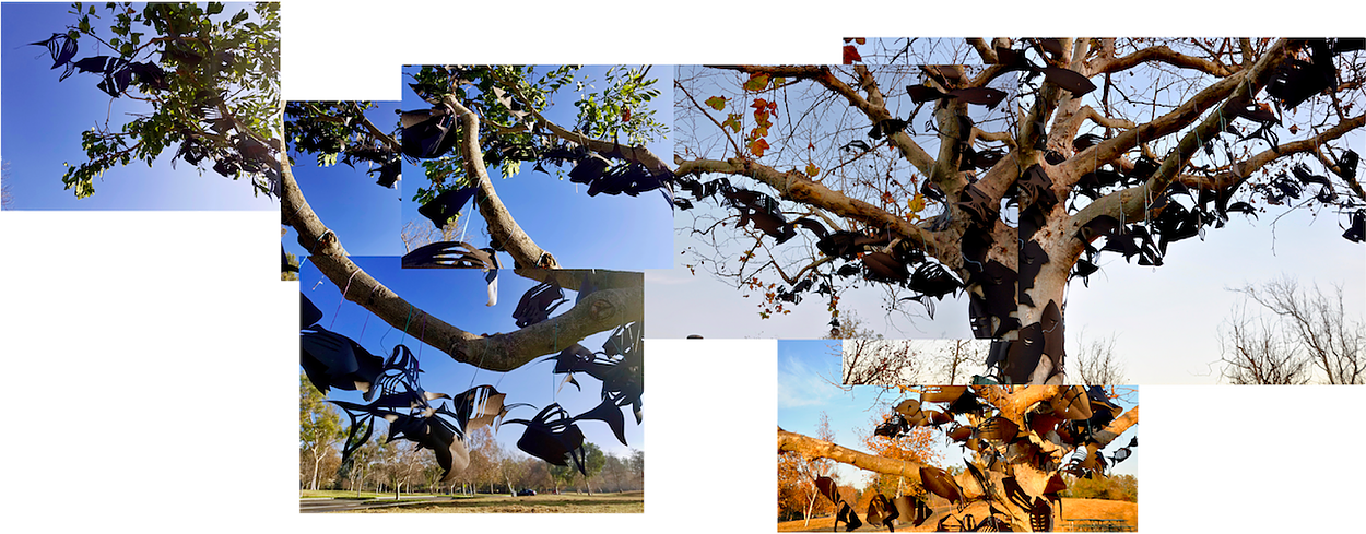 Diaspora - River Birch (1250x489)