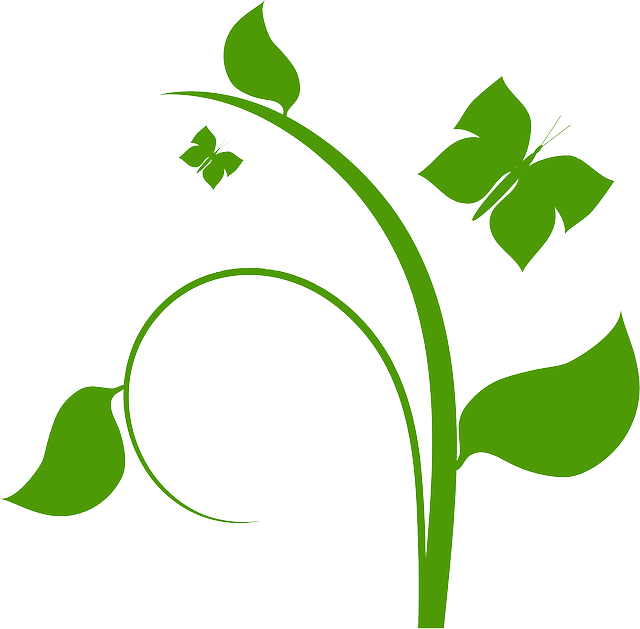 Folhas - Pesquisa Google - Flower Vine Clip Art (640x629)