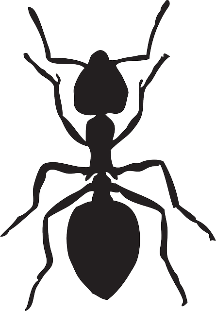 Free Vector Graphic - Ant Graphic (445x640)