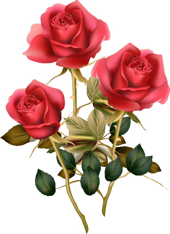 Grunge Romantic Background With Roses - Flowers Me Ganesha Good Morning (583x800)