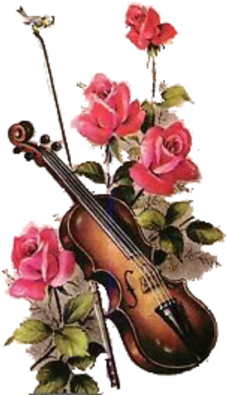 Roses Violin - Hearts And Flowers Violin (527x800)