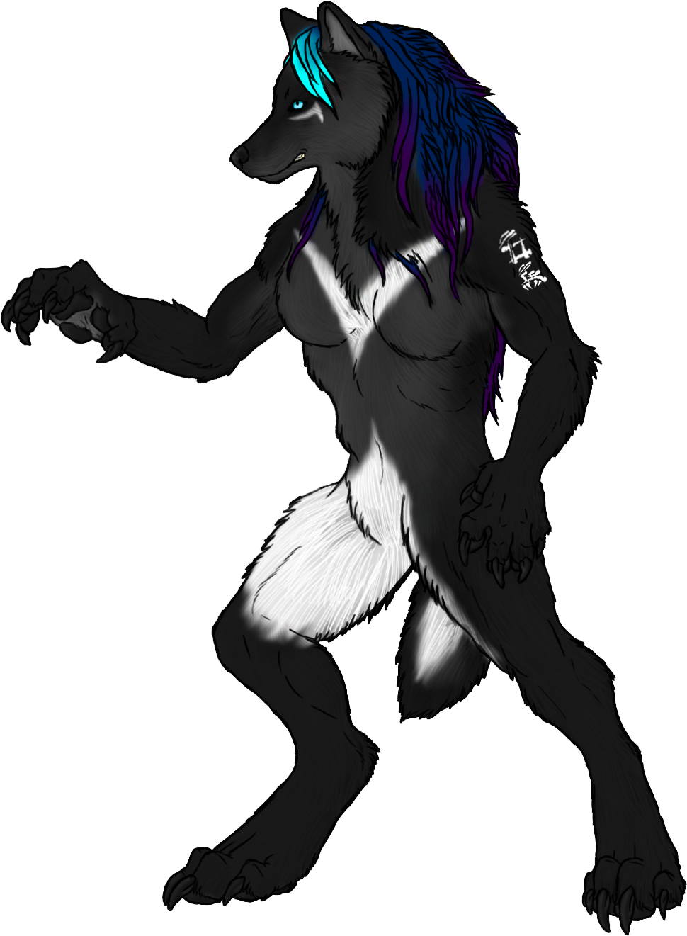 23, 18 August 2014 - Werewolf The Apocalypse Black Fury (1000x1500)