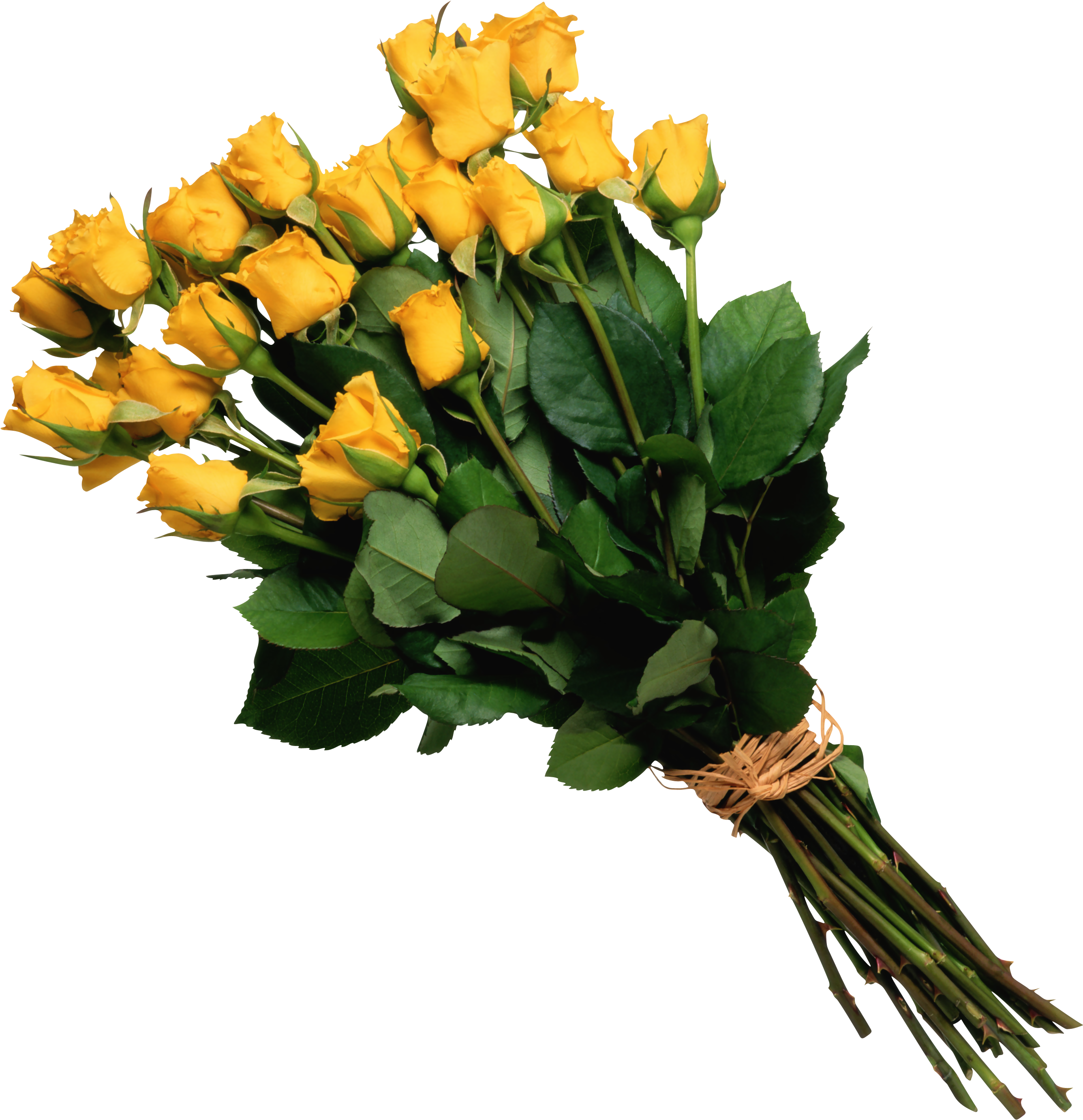 Flowers - Flower Bucket Png (2747x2847)