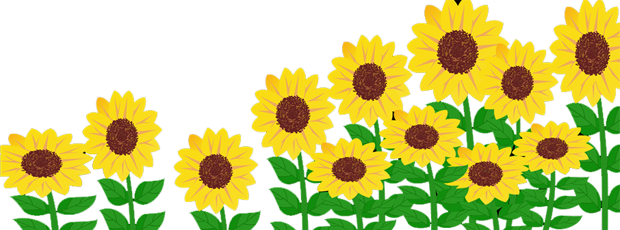 Common Sunflower Solar Energy Generating Systems Solar - Common Sunflower Solar Energy Generating Systems Solar (906x337)