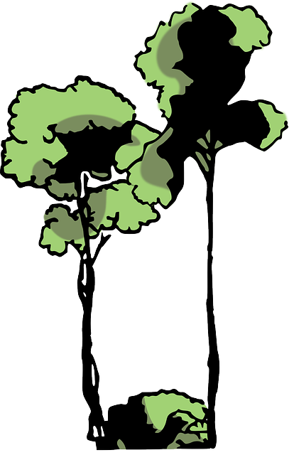 Plant, Wood, Jungle, Primeval Forest - Arbol De Selva Png (407x640)