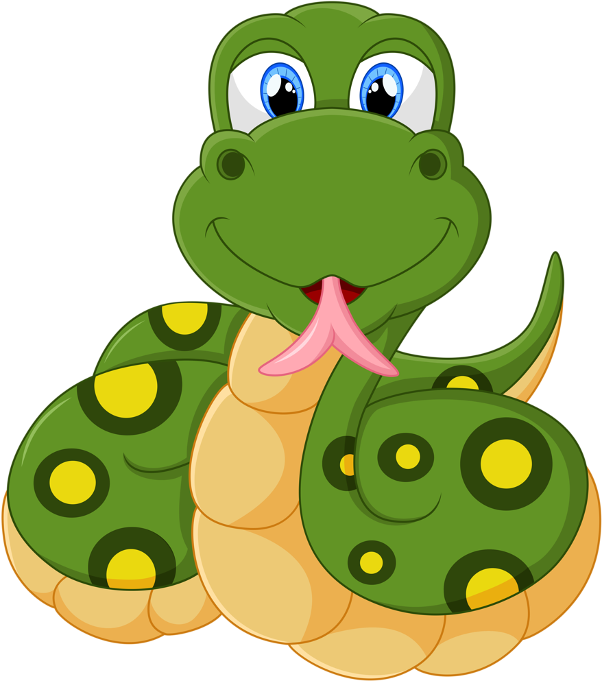 Safari & Zoo - Snake Cartoon Png (911x1024)