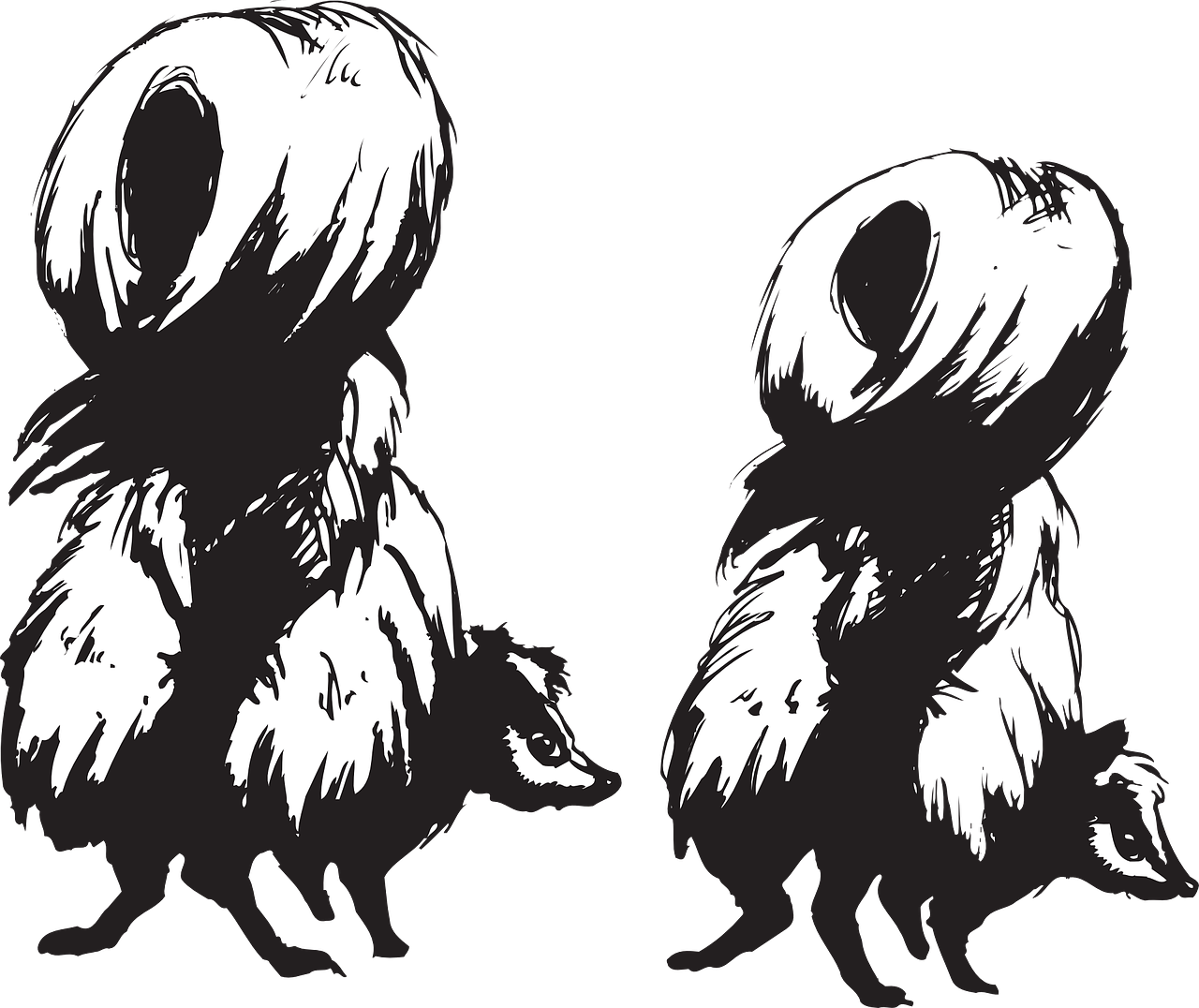 Skunks Animals Back Defense Transparent Image - Skunks Clipart (1280x1076)