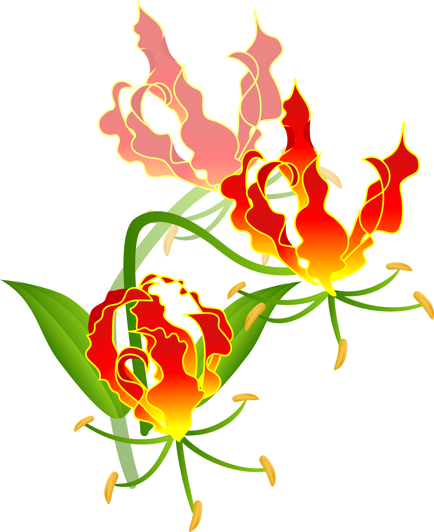 Floral Design Fire Lilies Cut Flowers Tulip - Floral Design Fire Lilies Cut Flowers Tulip (1439x1761)